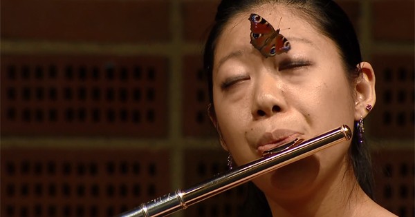 flute-butterfly_600