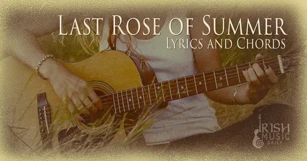 Last Rose of Summer lyrics and chords